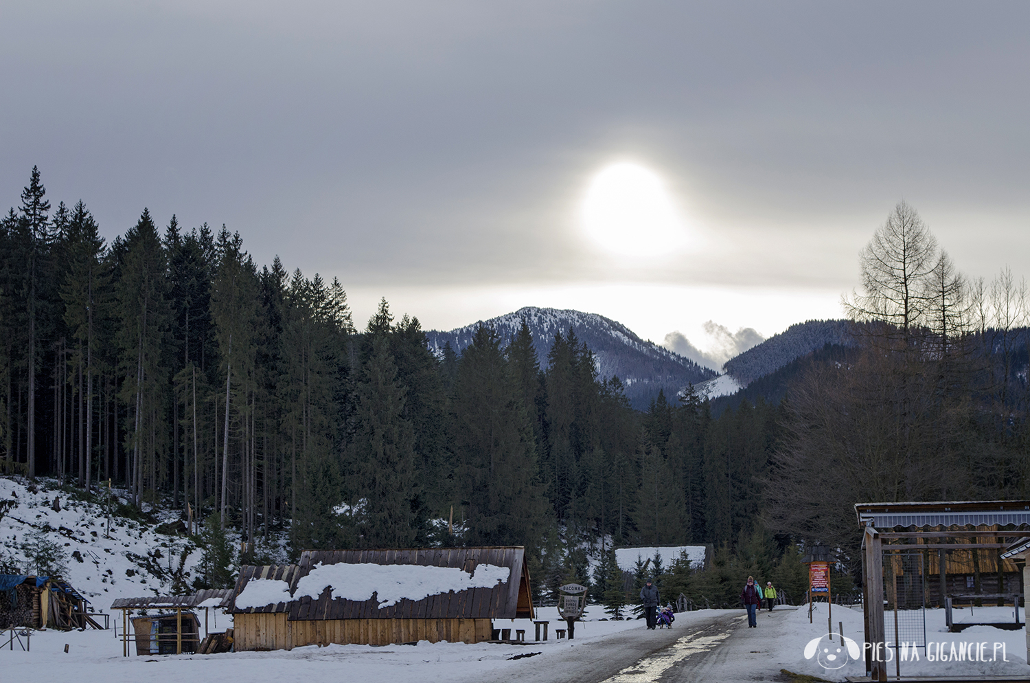 Noclegi z psem Tatry Zachodnie