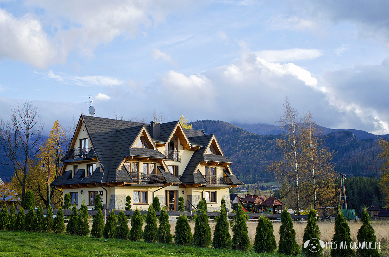 Góry przyjazne psom - gdzie w góry z psem? zakopane