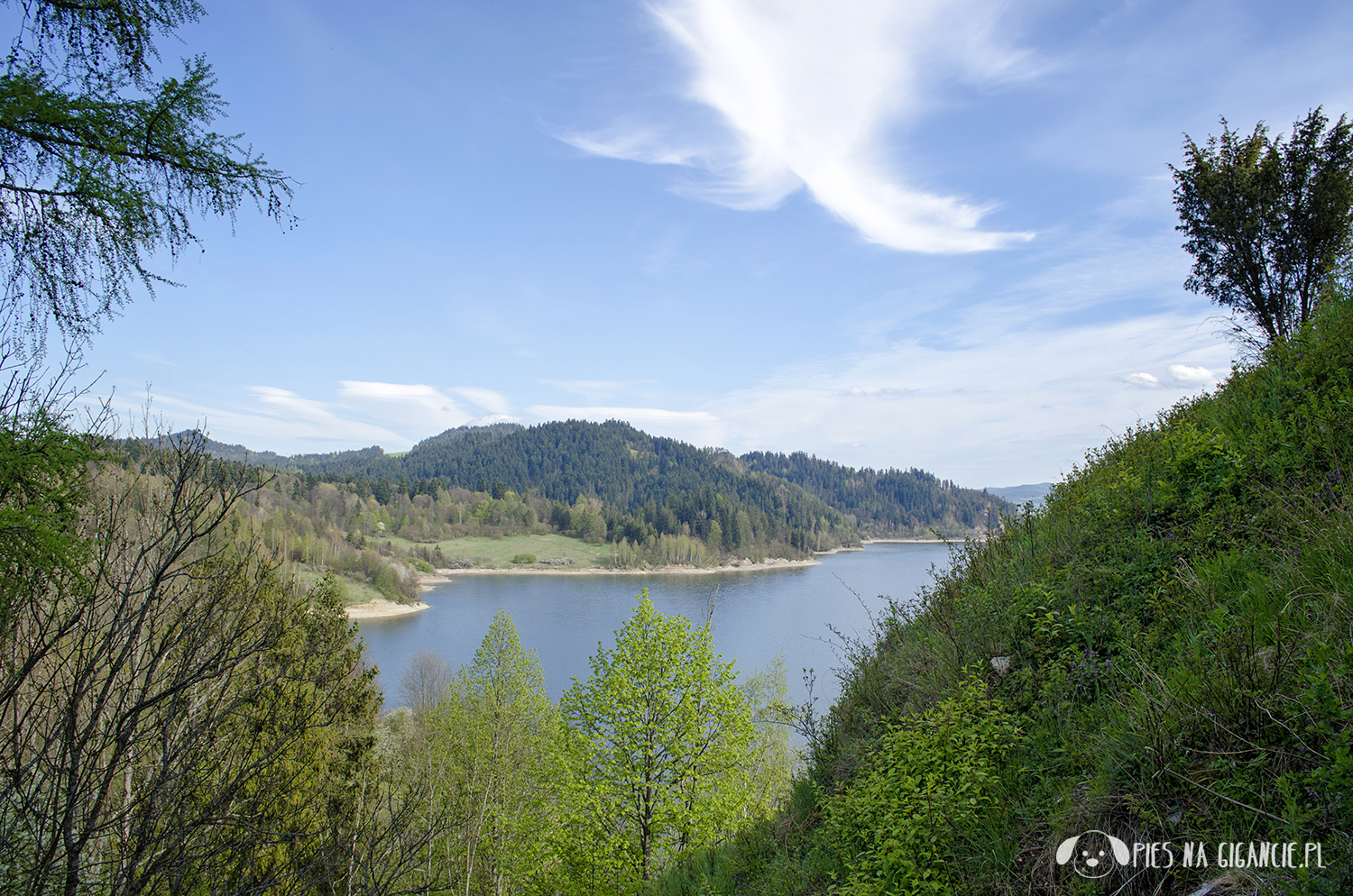 Pieniny Grand Szczawnica: Hotel Pieniny