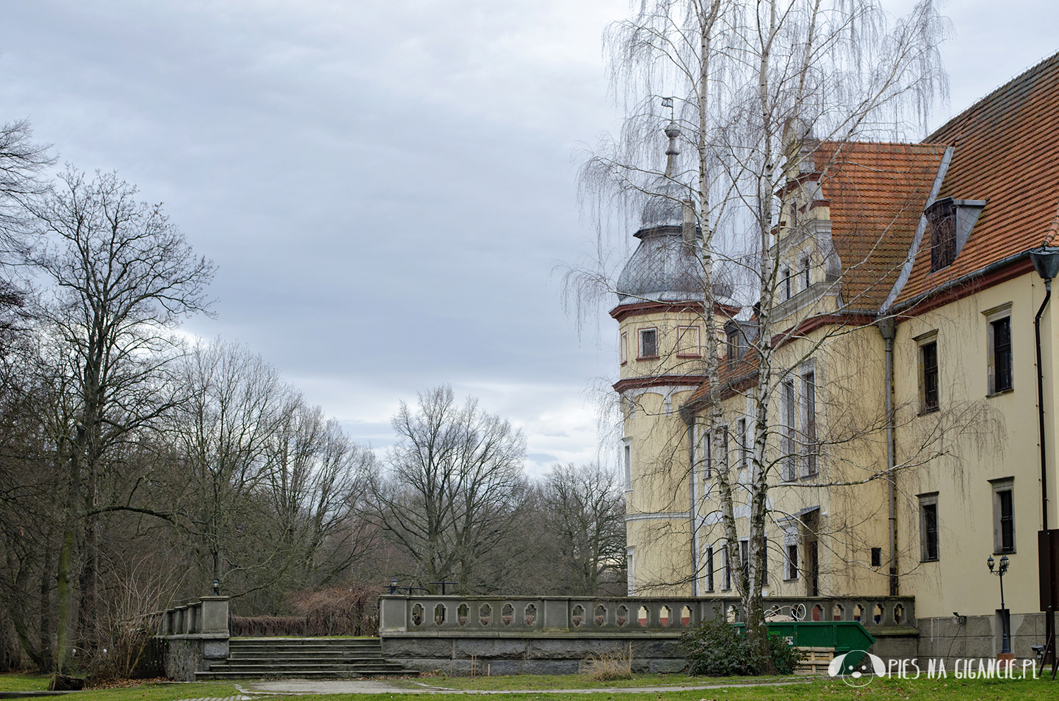 Wiele odnóg – większych i mniejszych – to wiele możliwości ...