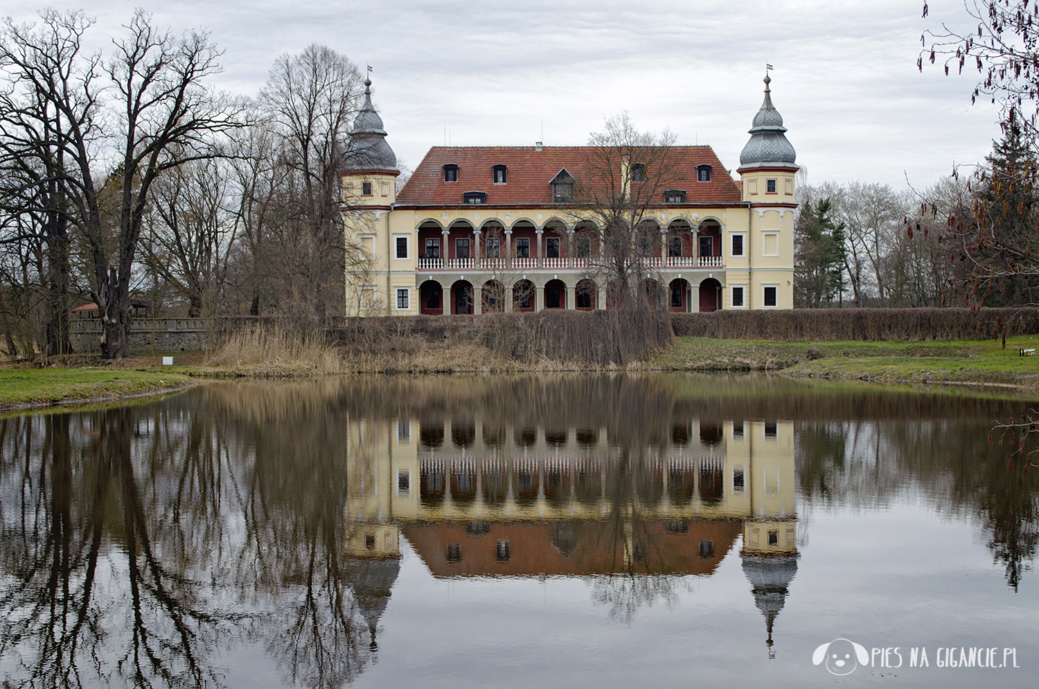 krobielowice z psem