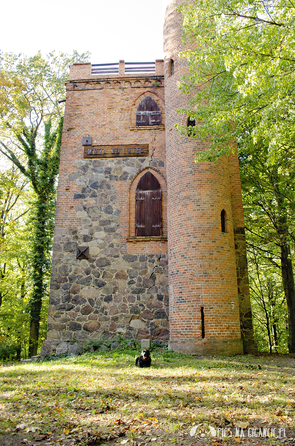 Wycieczka do Chatki Górzystów