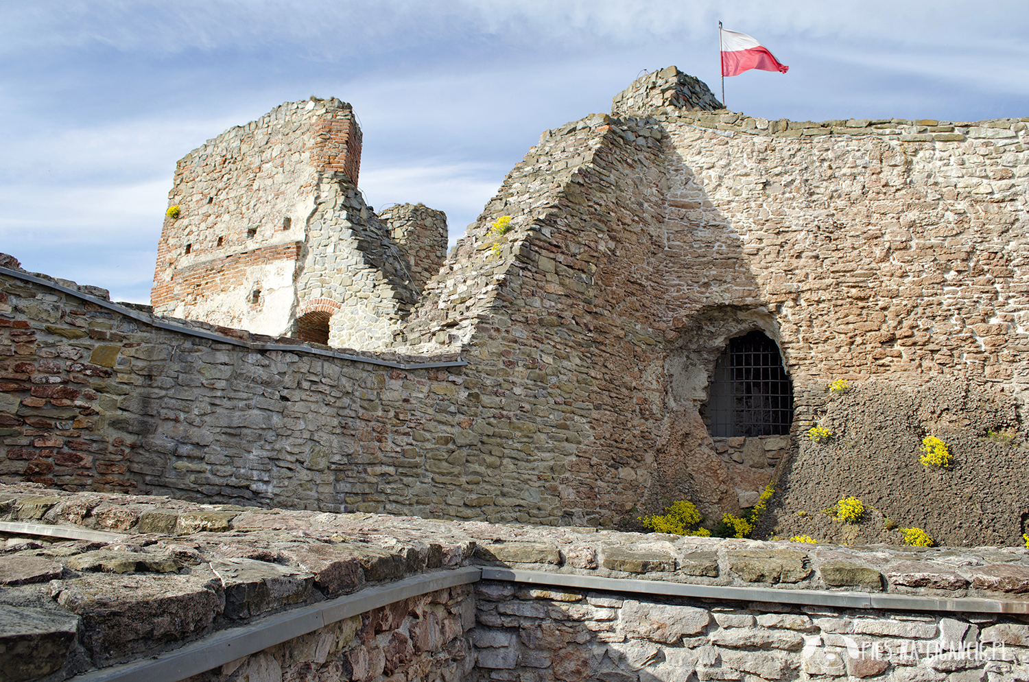 Domki Pienińskie Szczawnica · Domki Szczawnica