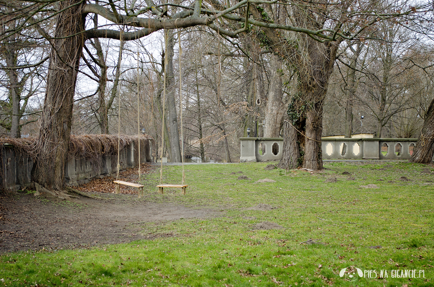 Pieniński Park Narodowy