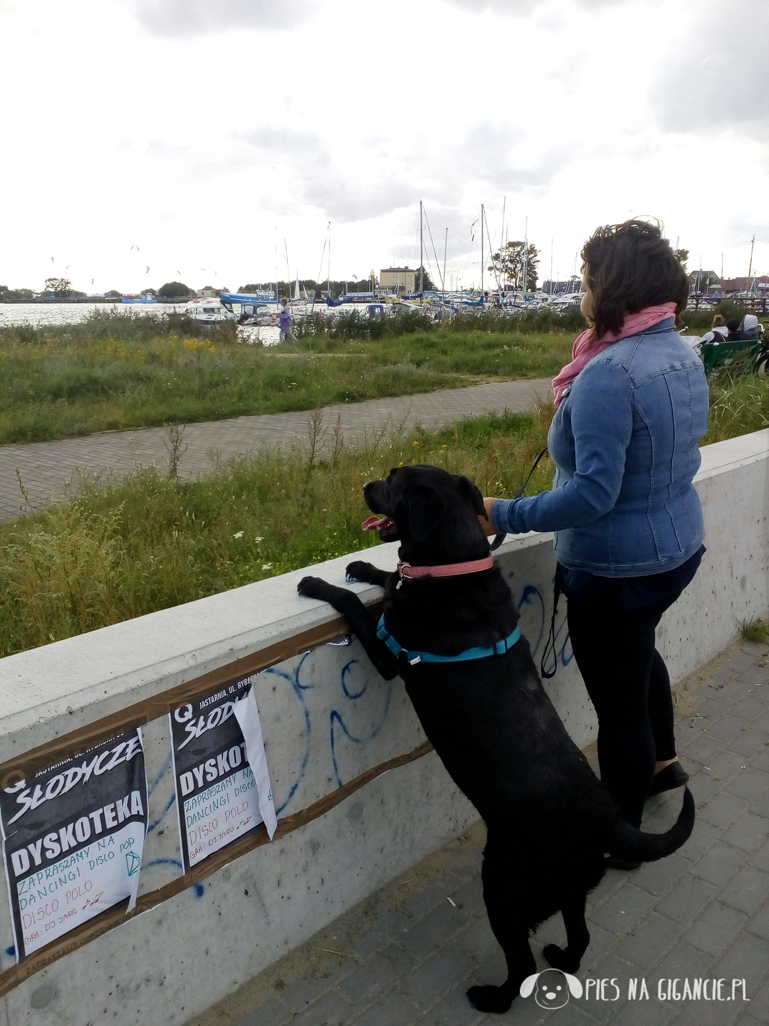 Czy w Jastarni jest plaża dla psów? Jastarnia Port