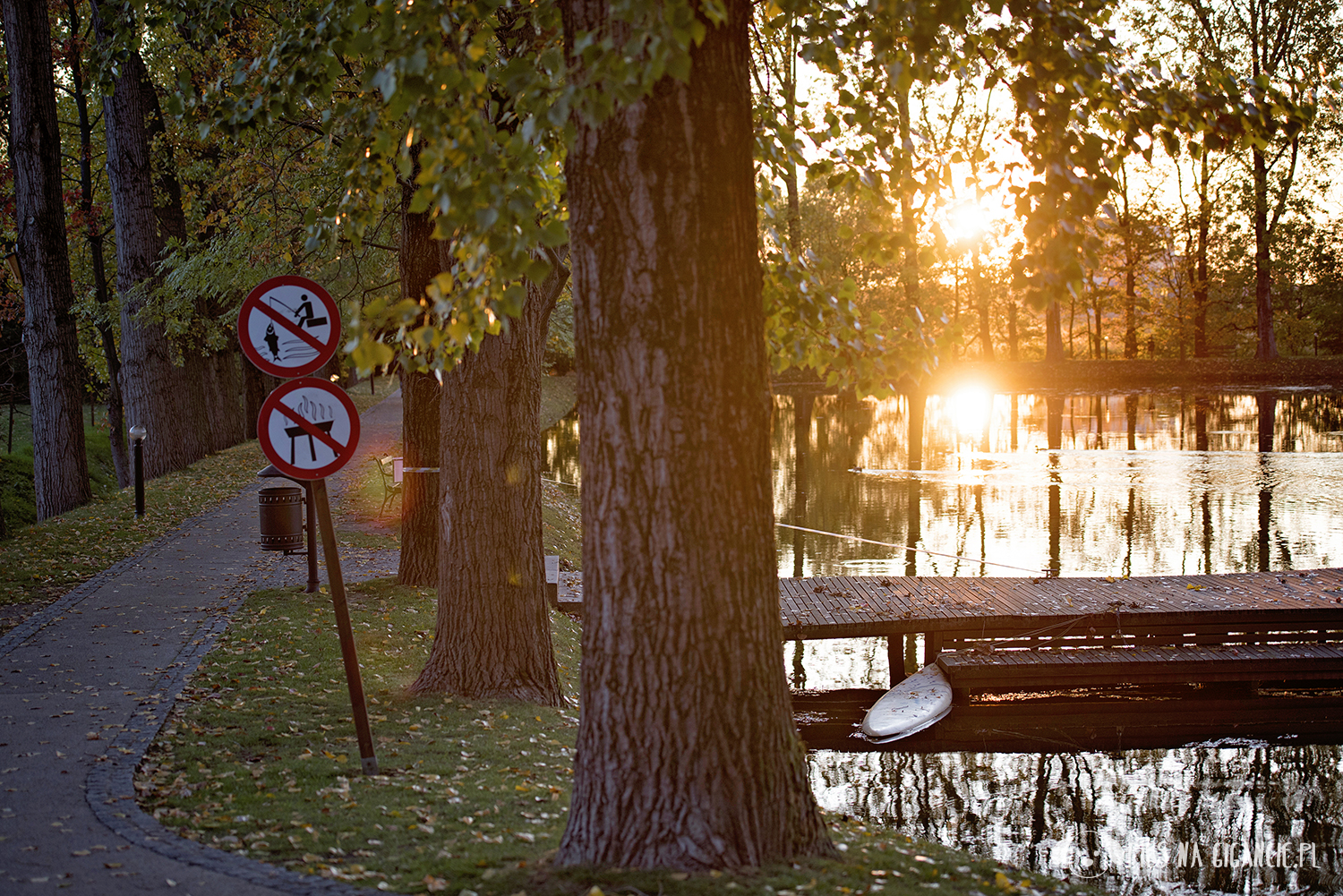 wrocław atrakcje z psem Zamek Topacz