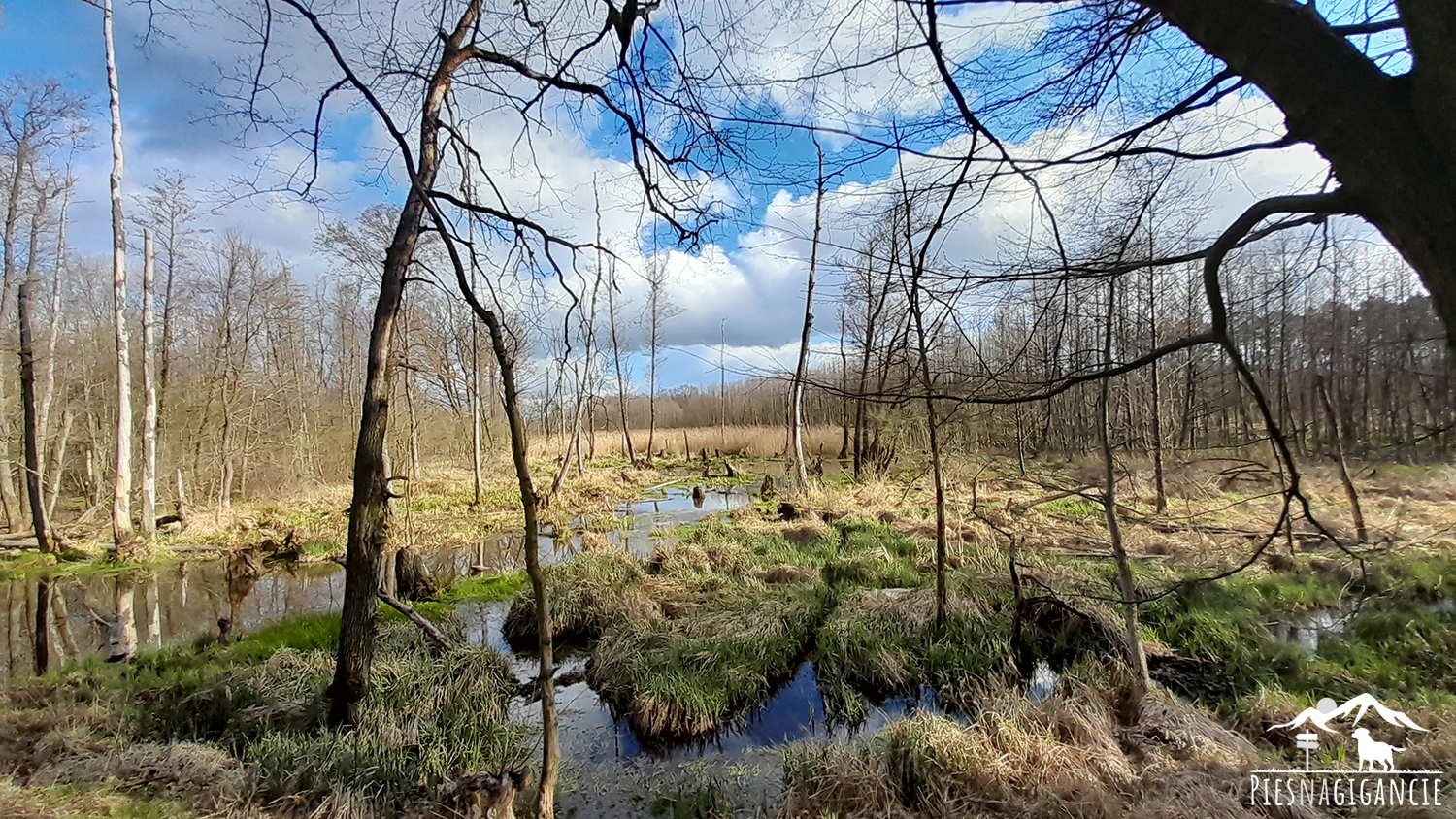 Park Słowiański w Szprotawie