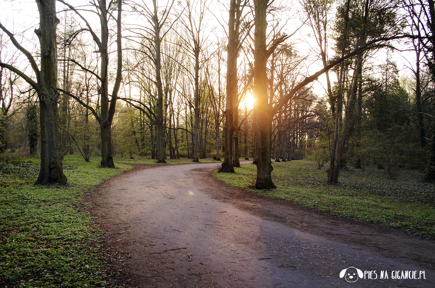 park grabiszyński