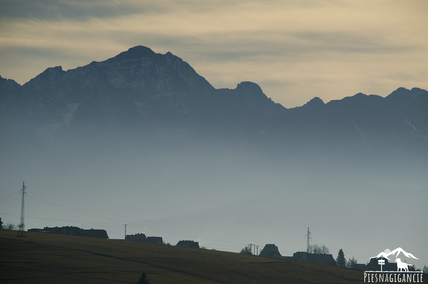 Tatry z psem. Tatry są jednym z najpiękniejszych pasm górskich w Polsce, które przyciągają miłośników pieszych wędrówek.