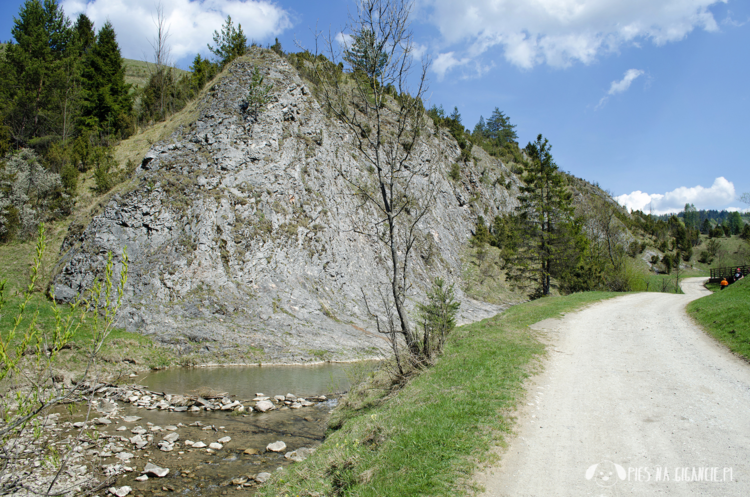 Przewodnik po Pieninach – Pieniny Przewodnik Górski