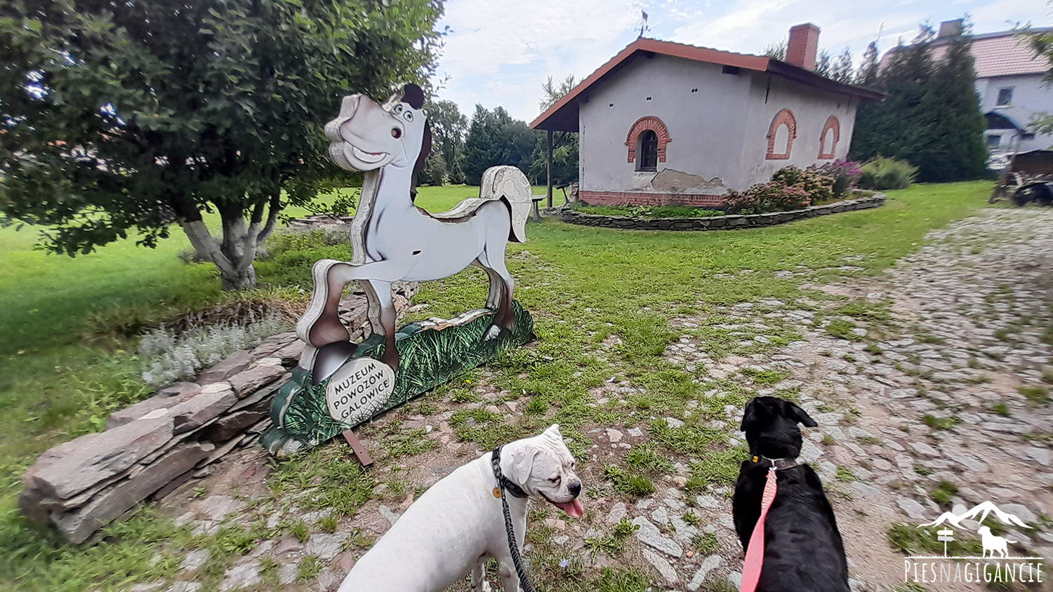 muzeum powozow w galowicach