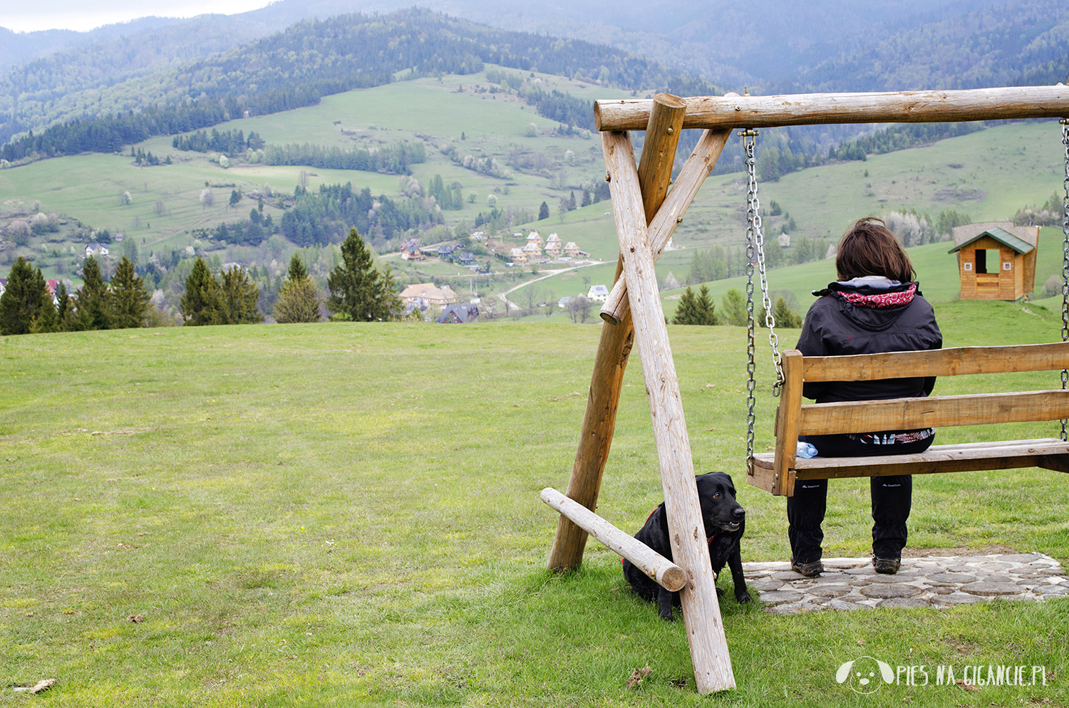 pieniny z psem Wąwóz Homole